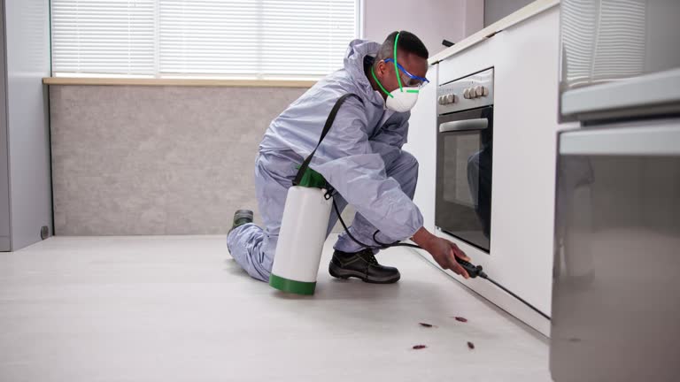 Emergency Pest Control in El Mirage, AZ